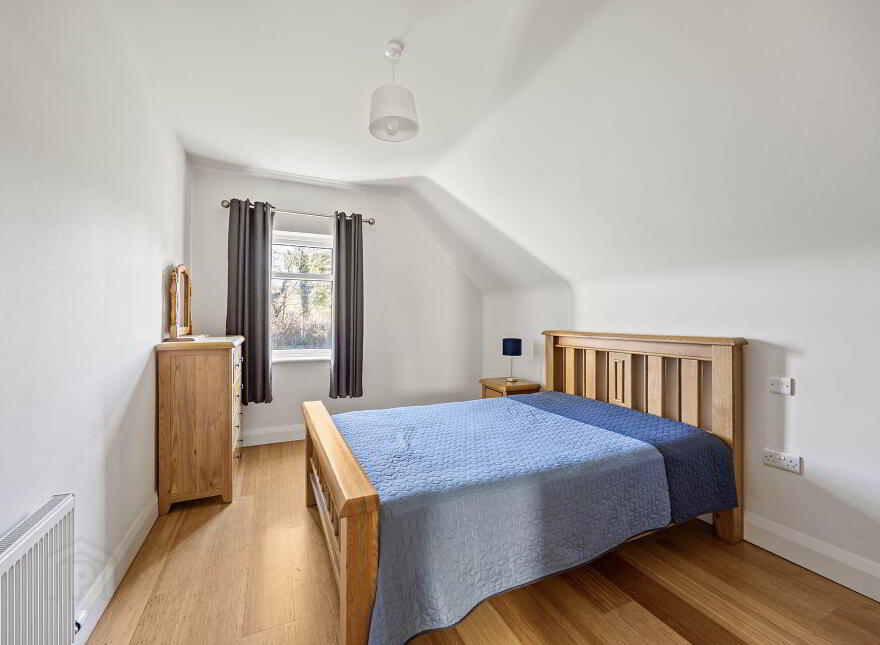 Saoirse, Clounkeen East, Rosscarbery, Leap, P81K443