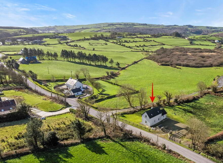 Saoirse, Clounkeen East, Rosscarbery, Leap, P81K443