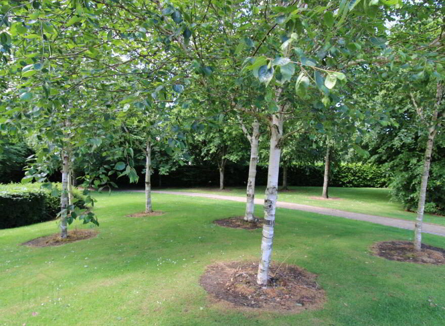 25 Beech Lodge, Farmleigh Woods, Castleknock, Castleknock, D15KF24