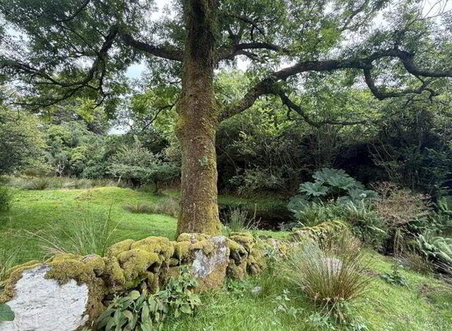 Lucy's Farmhouse, Gloun, Dunmanus, Dunmanus, P81XK24