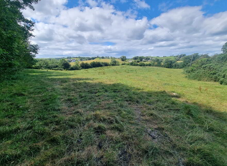 C.9acres And Derelict Cottage, Ardaghy