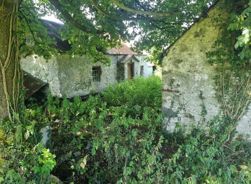 C.9acres And Derelict Cottage, Ardaghy