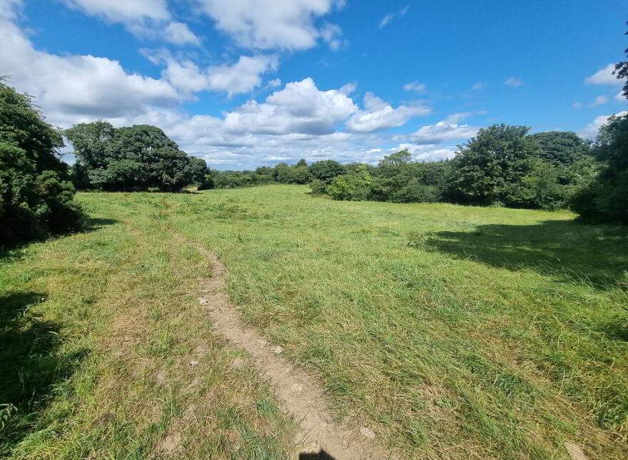 C.9acres And Derelict Cottage, Ardaghy