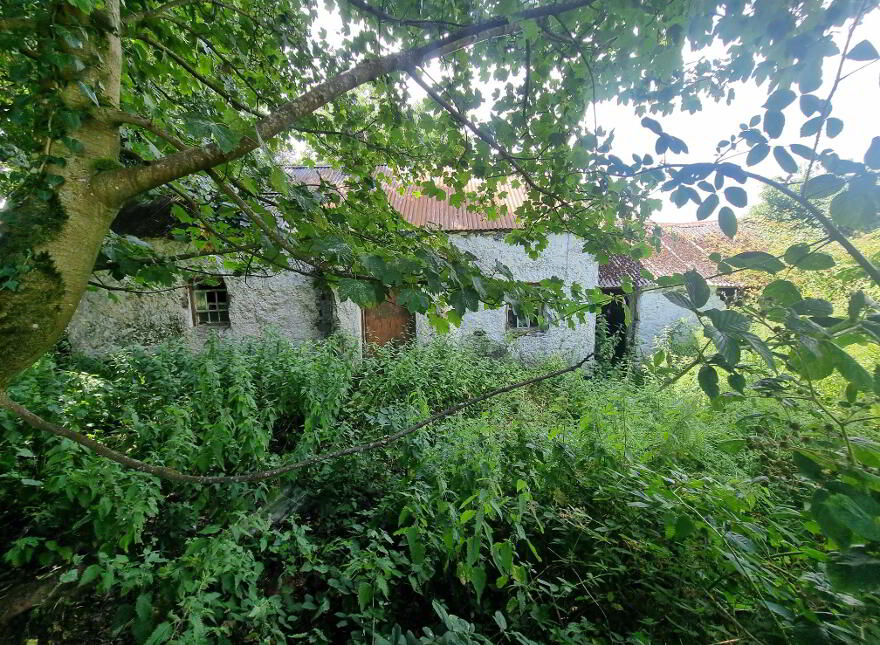 C.9acres And Derelict Cottage, Ardaghy