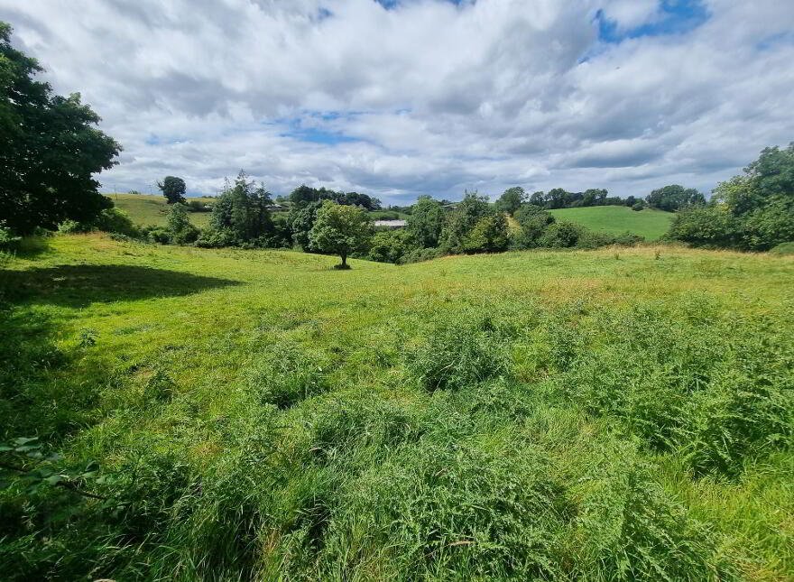 C.9acres And Derelict Cottage, Ardaghy