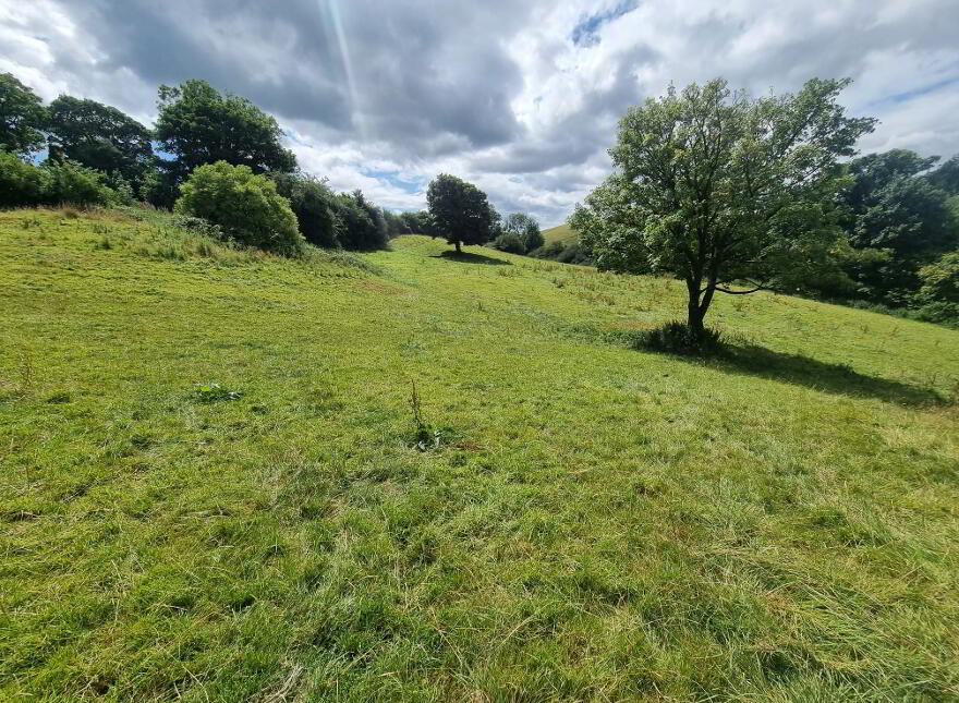 C.9acres And Derelict Cottage, Ardaghy