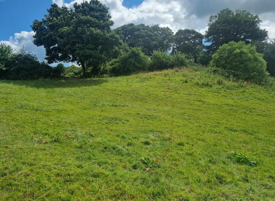 C.9acres And Derelict Cottage, Ardaghy