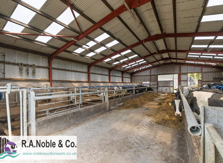 41 Ballygonnell Road, Drummoghan, Enniskillen, BT93 7AE