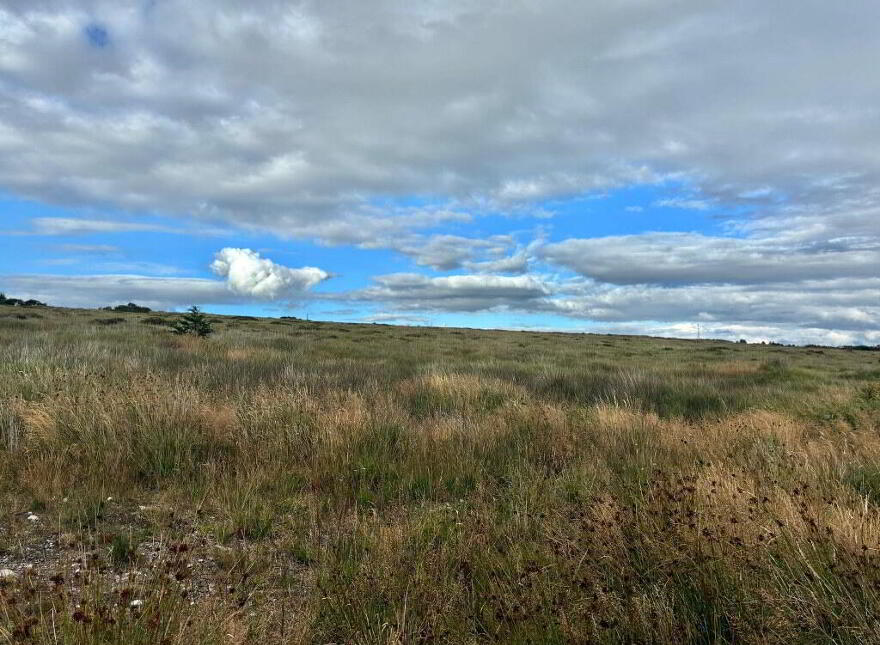 Knocknaglogh, Aglish, Cappoquin, P51K097