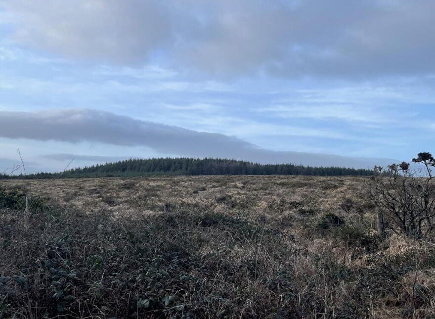 Knocknaglogh, Aglish, Cappoquin, P51K097