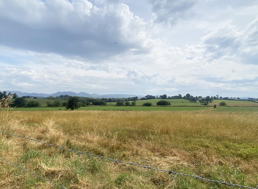 74 Ballyward Road, Castlewellan, BT31 9PS