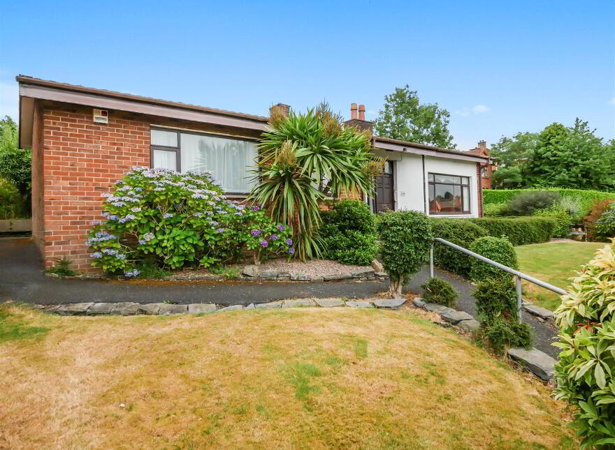 246 Saintfield Road, Belfast, BT8 6HH