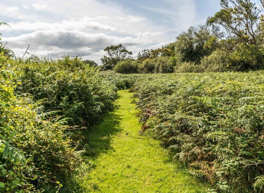 Mauladinna, Dunmanus, Dunmanus, P81T380