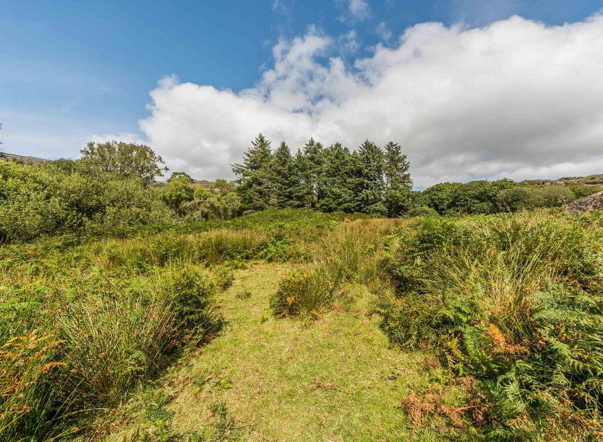 Mauladinna, Dunmanus, Dunmanus, P81T380
