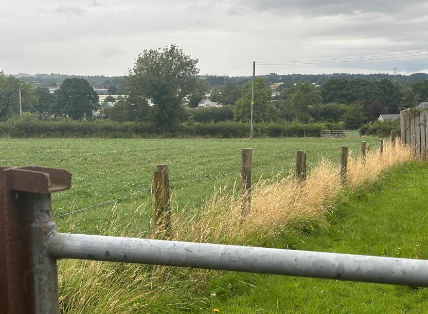 Land 1, Coash Road, Dungannon, BT71 6JE