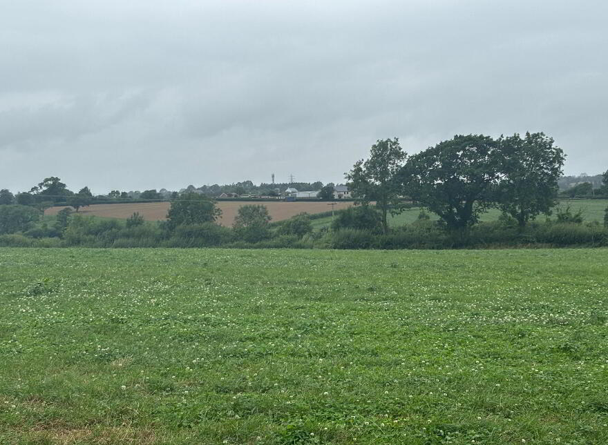 Land 1, Coash Road, Dungannon, BT71 6JE