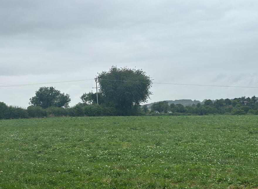 Land 1, Coash Road, Dungannon, BT71 6JE