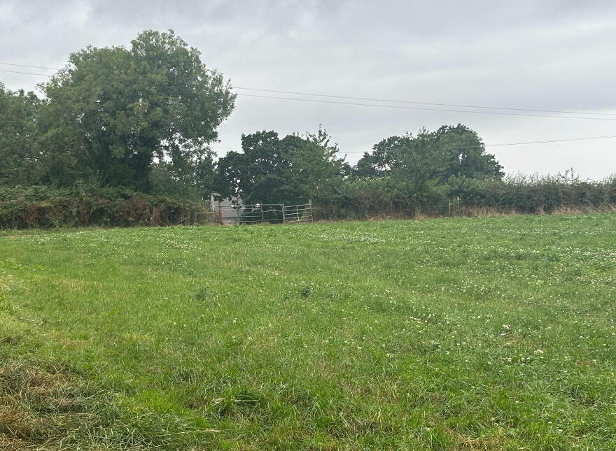 Land 1, Coash Road, Dungannon, BT71 6JE