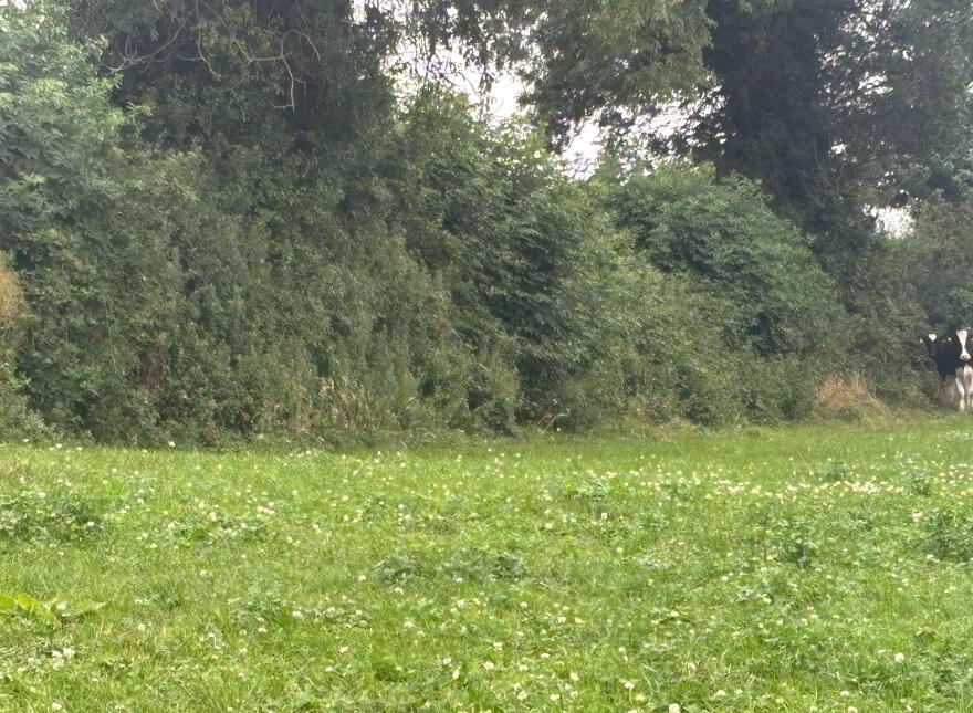 Land 1, Coash Road, Dungannon, BT71 6JE