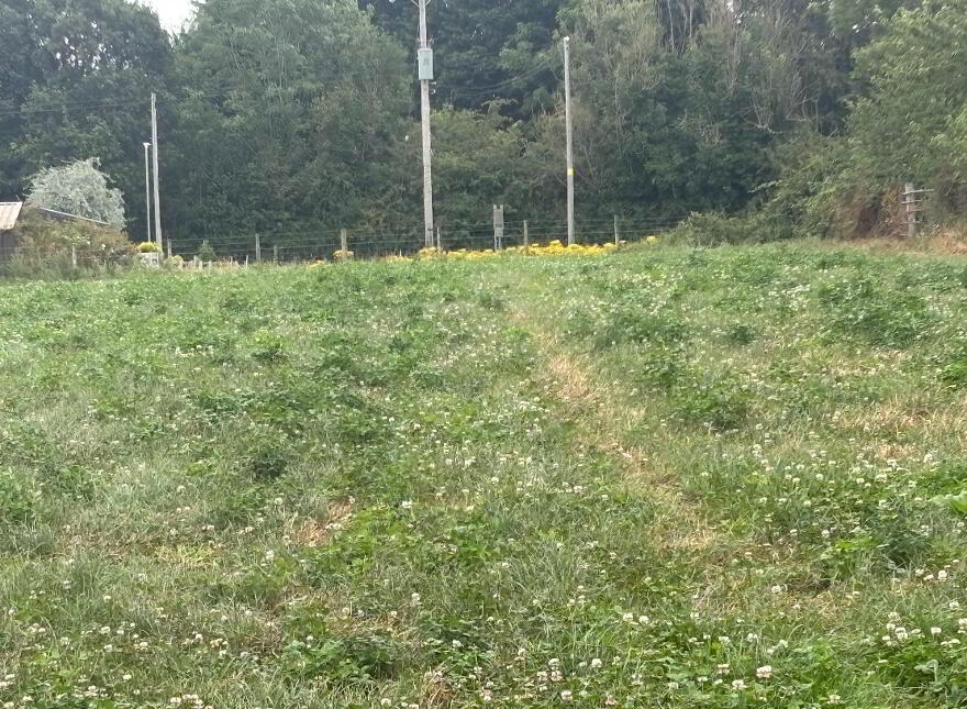 Land 1, Coash Road, Dungannon, BT71 6JE