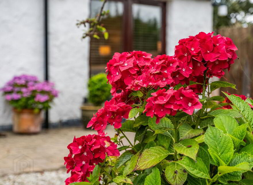 2 Hillcrest View (HOLIDAY LET), Portrush, BT52 2RB