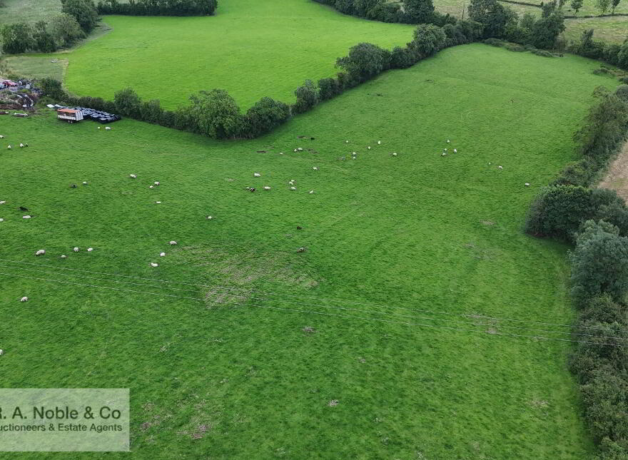 Lands At, Lisgobban Road, Benburb, Dungannon, BT71 7PT