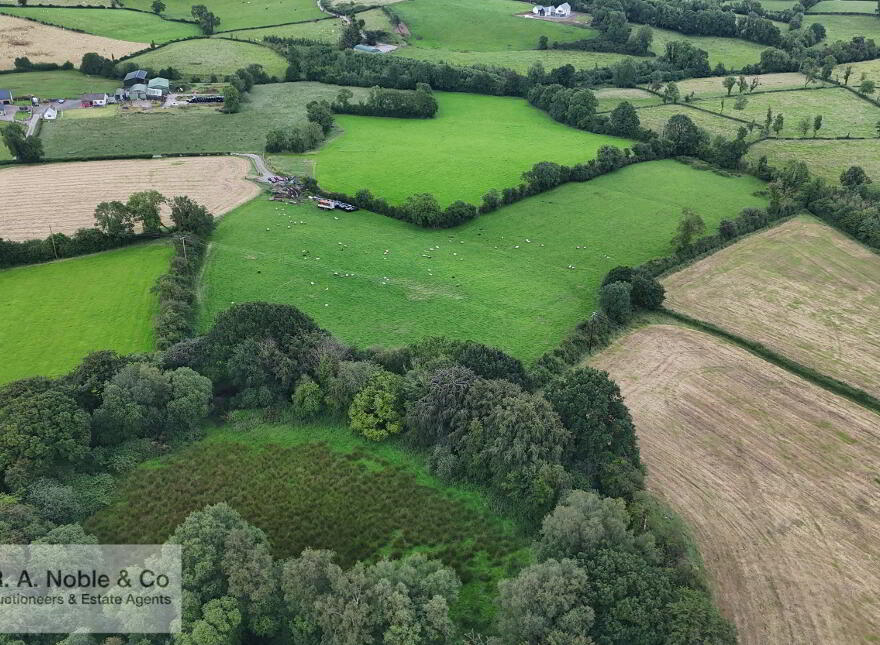 Lands At, Lisgobban Road, Benburb, Dungannon, BT71 7PT