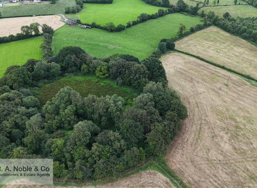 Lands At, Lisgobban Road, Benburb, Dungannon, BT71 7PT