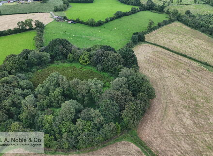 Lands At, Lisgobban Road, Benburb, Dungannon, BT71 7PT