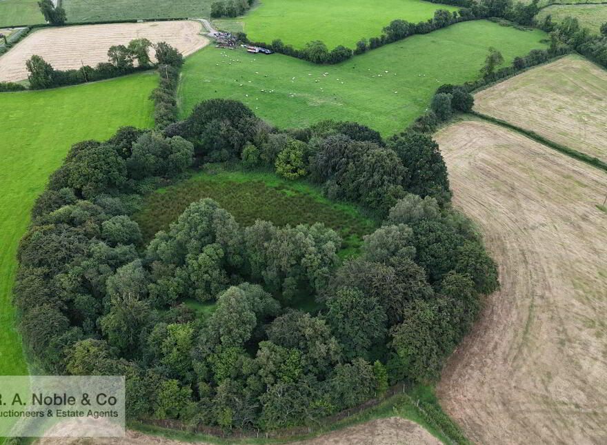 Lands At, Lisgobban Road, Benburb, Dungannon, BT71 7PT
