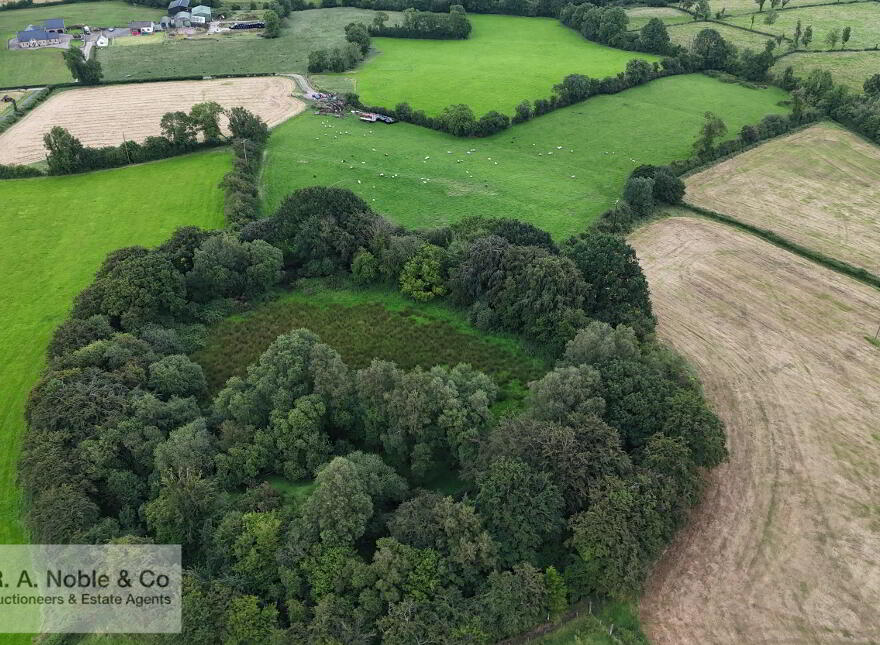 Lands At, Lisgobban Road, Benburb, Dungannon, BT71 7PT