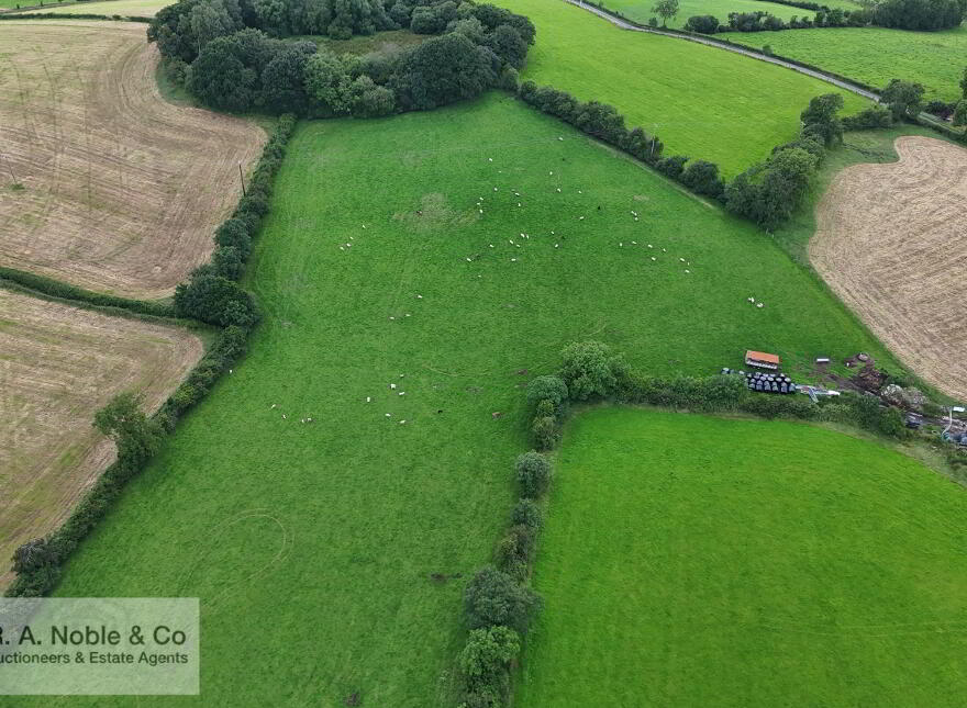 Lands At, Lisgobban Road, Benburb, Dungannon, BT71 7PT