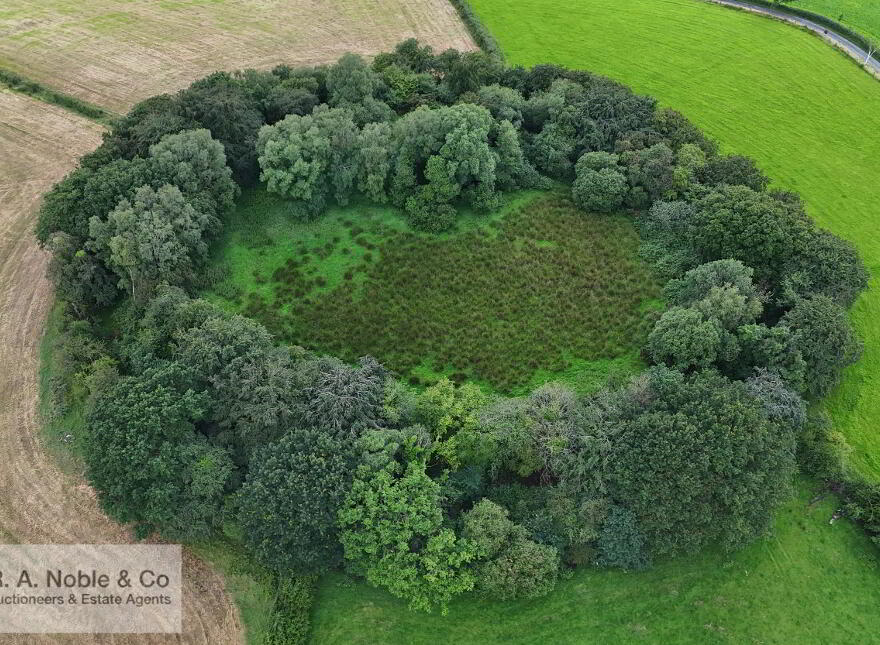 Lands At, Lisgobban Road, Benburb, Dungannon, BT71 7PT