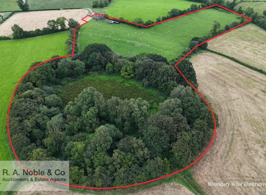 Lands At, Lisgobban Road, Benburb, Dungannon, BT71 7PT