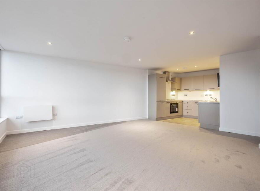 Apartment 4.07 Obel 62 Donegall Quay, Belfast, BT1 3NG