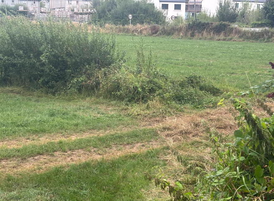 Land 2, Coash Road, Dungannon, BT71 6JE
