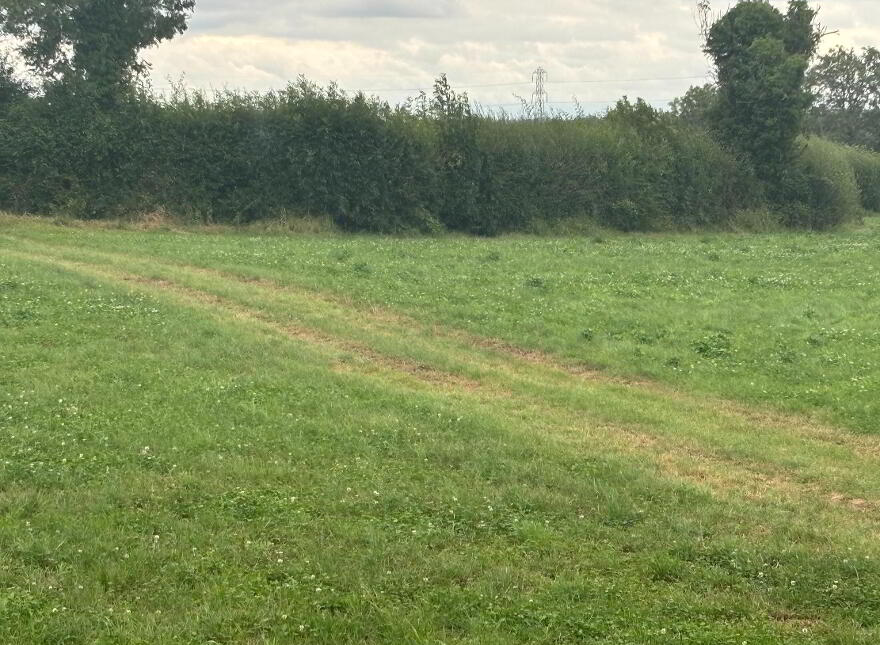 Land 2, Coash Road, Dungannon, BT71 6JE