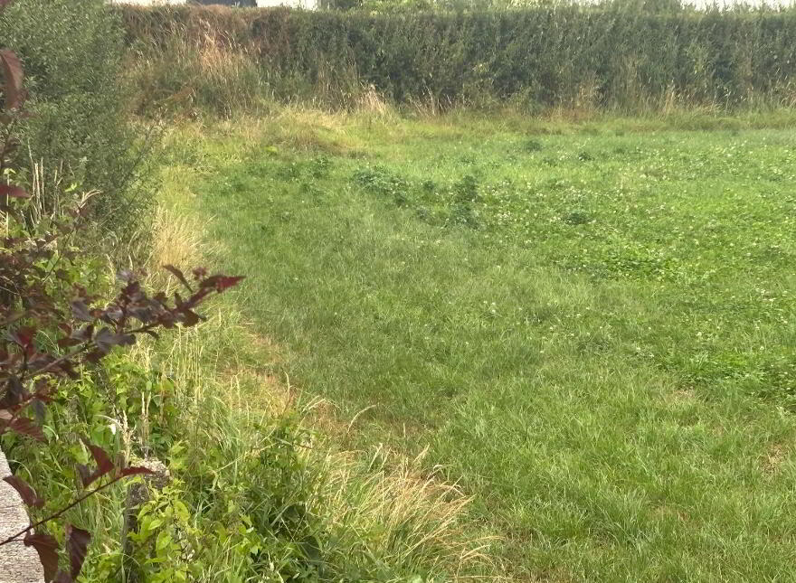Land 2, Coash Road, Dungannon, BT71 6JE