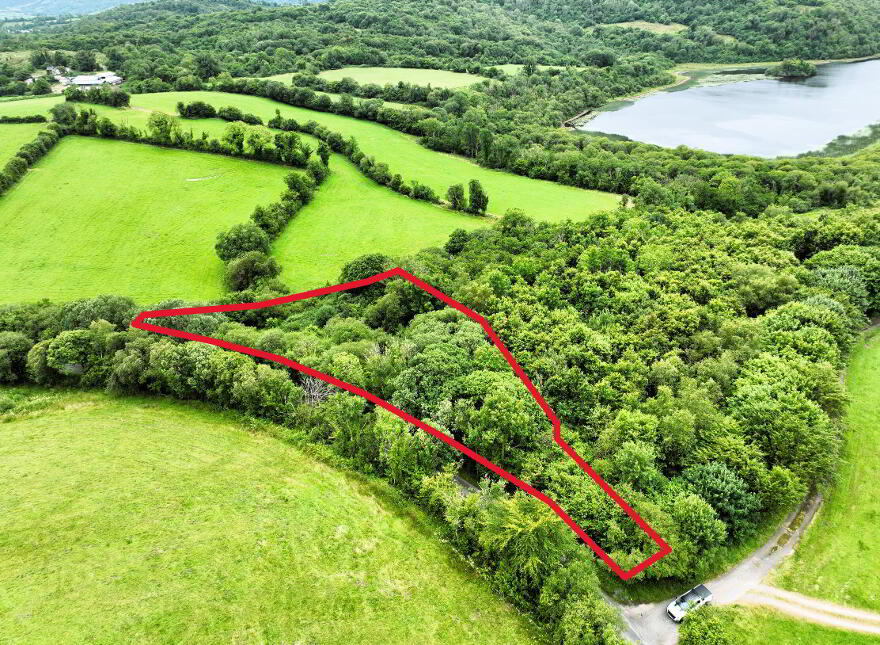 C. 1.15 Ac Woodland @ Drumary, Derrygonnelly, BT93 6FF