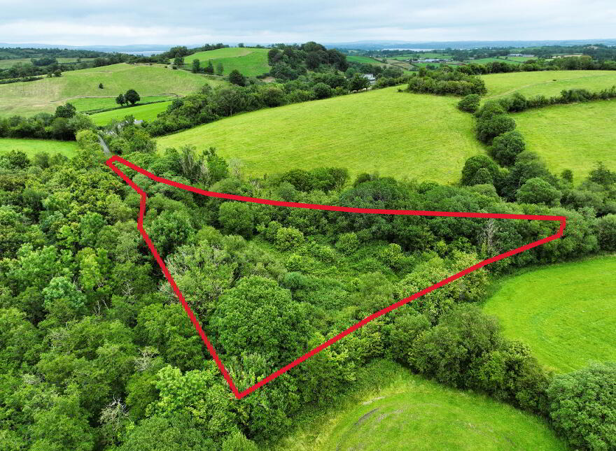 C. 1.15 Ac Woodland @ Drumary, Derrygonnelly, BT93 6FF