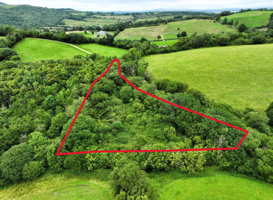 C. 1.15 Ac Woodland @ Drumary, Derrygonnelly, BT93 6FF