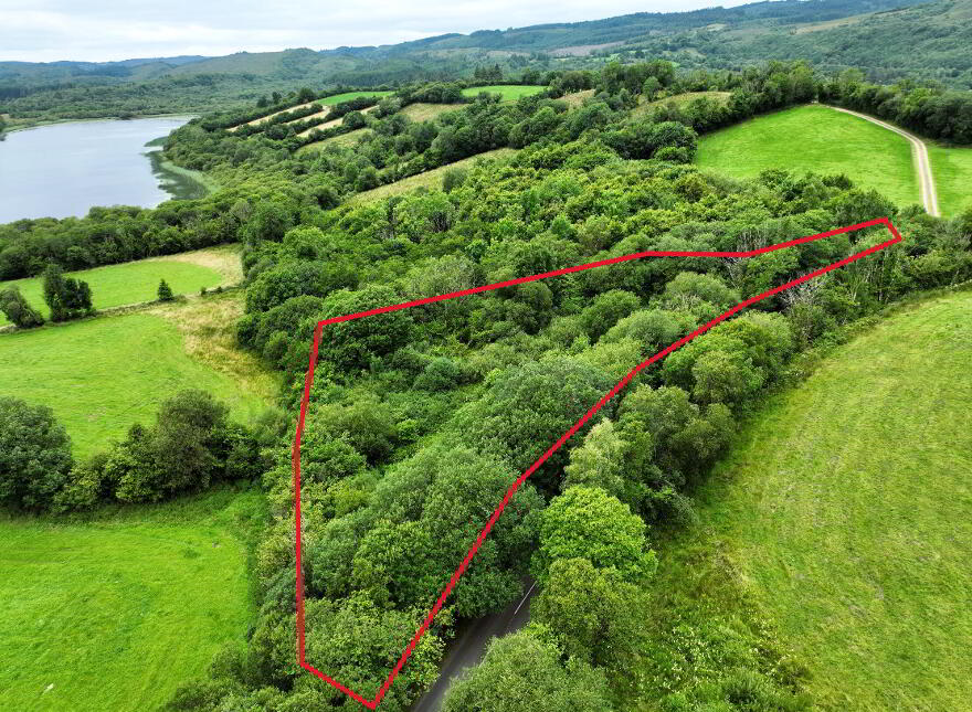 C. 1.15 Ac Woodland @ Drumary, Derrygonnelly, BT93 6FF