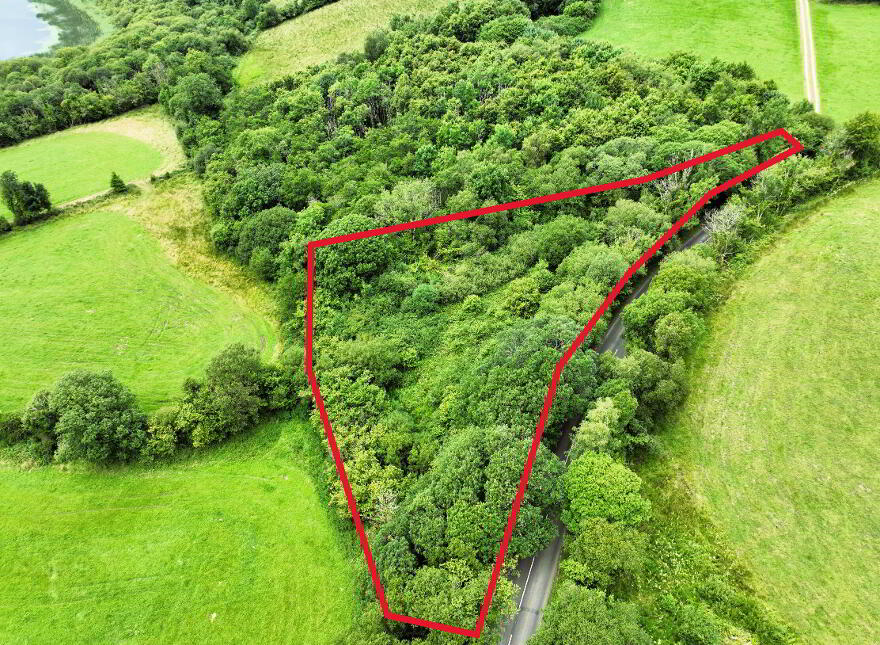 C. 1.15 Ac Woodland @ Drumary, Derrygonnelly, BT93 6FF