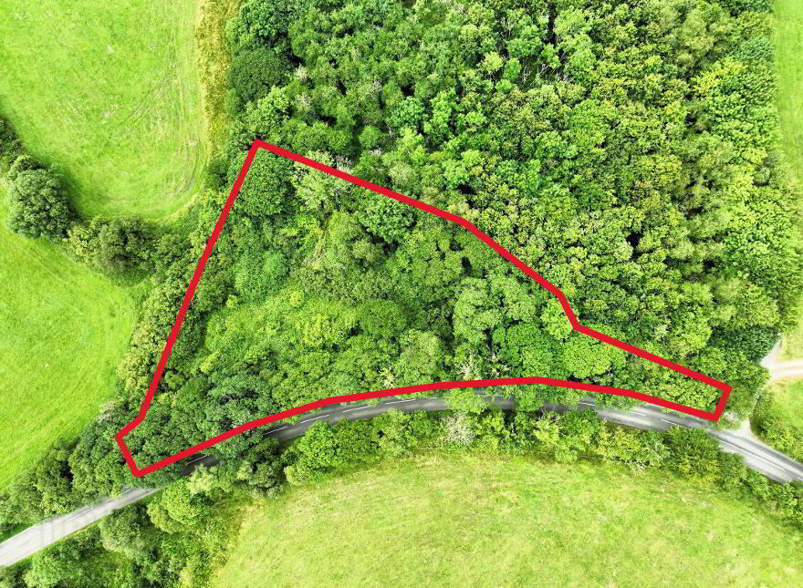 C. 1.15 Ac Woodland @ Drumary, Derrygonnelly, BT93 6FF
