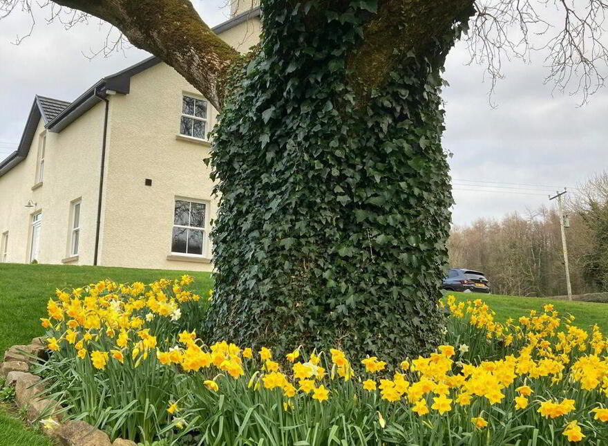 Navar Cottage, 108 Shankhill Road, Monea, Enniskillen, BT93 7DT