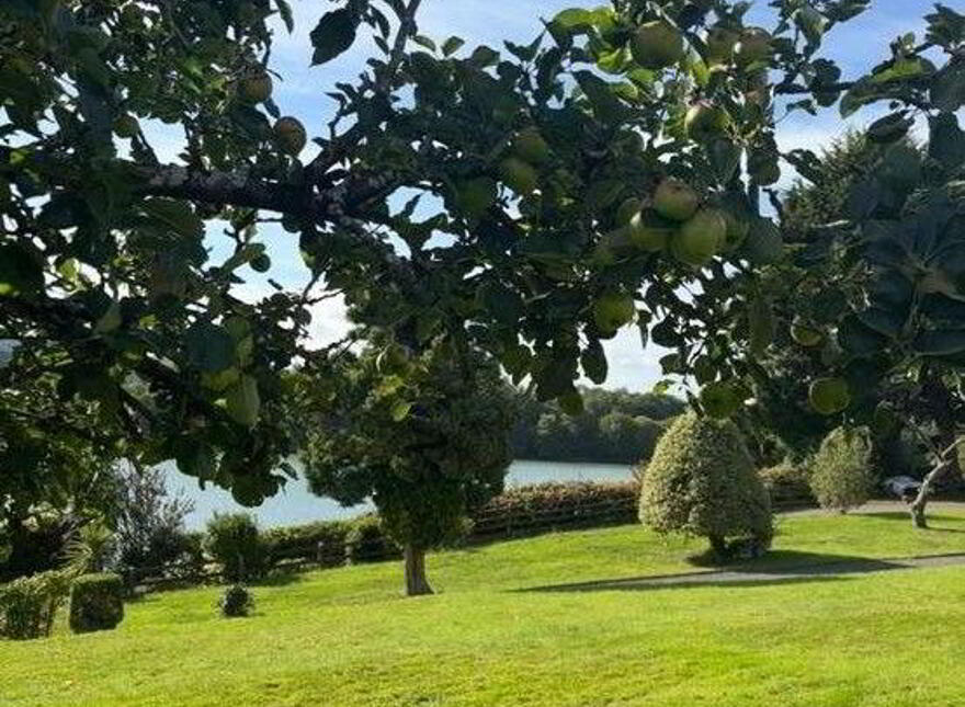 Buncoille, Monkstown, T12EWC8