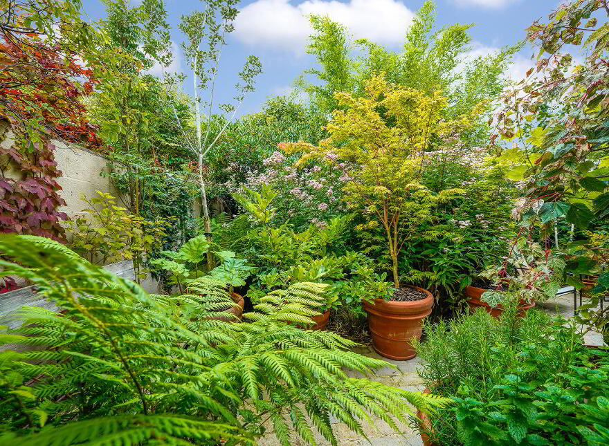 55 Edenvale Road, Ranelagh, Ranelagh, D06R7T2