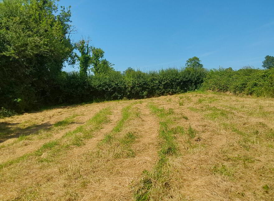 Clonegonnell, Cavan, H12N280