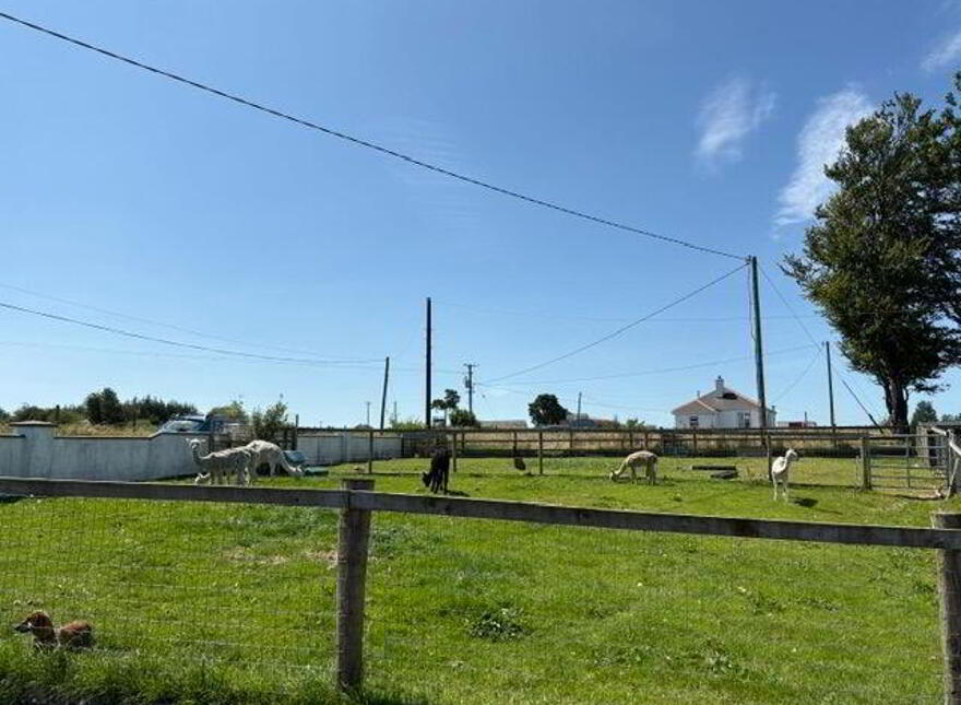 Cloonmaul, Loughglynn, F45YF63
