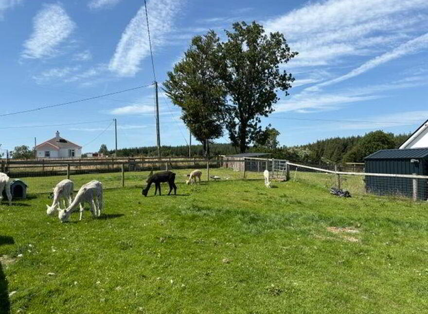 Cloonmaul, Loughglynn, F45YF63